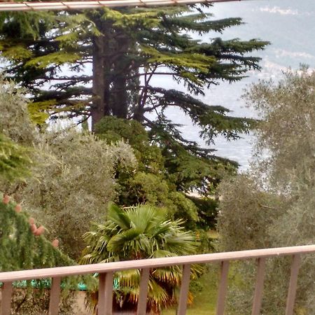 Apartamento Gardens House Varenna Exterior foto
